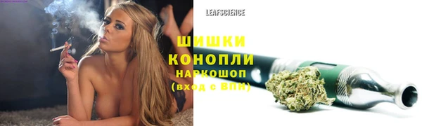 ПСИЛОЦИБИНОВЫЕ ГРИБЫ Абдулино