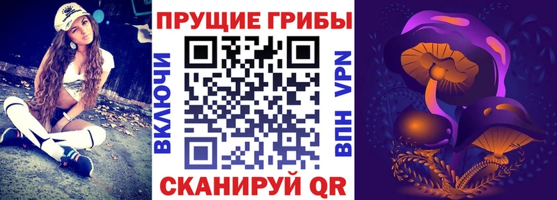 Галлюциногенные грибы GOLDEN TEACHER  Нальчик 