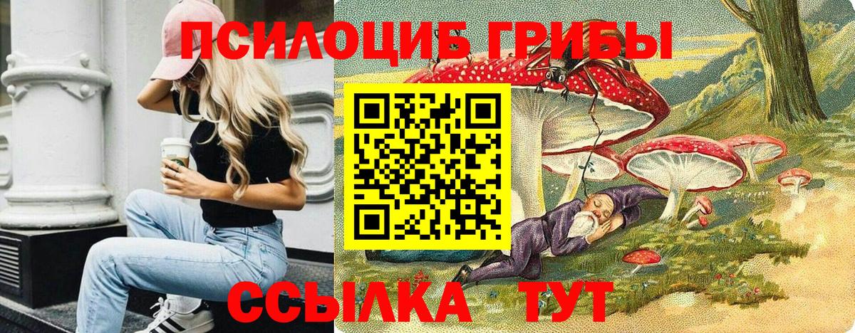 Галлюциногенные грибы Psilocybine cubensis  Вход с VPN  Нальчик  Галлюциногенные грибы GOLDEN TEACHER 